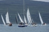 blue squirrel general whyw24 fri 750 9744